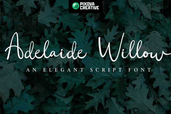 Adelaide Willow: The Graceful Typeface That Elevates Small Business Branding