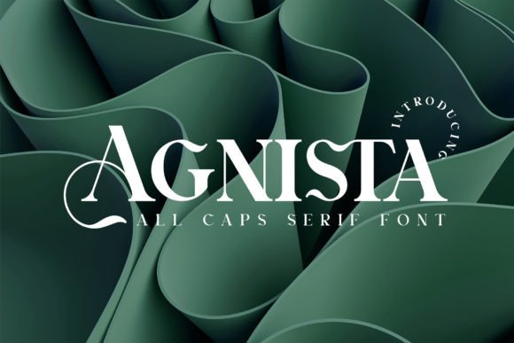Agnista Serif: Elevating Digital Readability and Brand Elegance