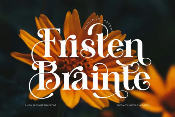 Fristen Brainte: A Modern Serif for Digital Branding
