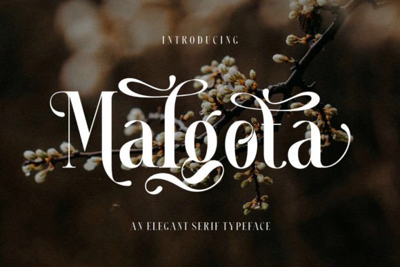 Malgota: A Serif Typeface for Modern Digital Branding