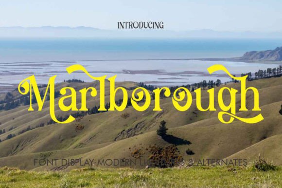 Marlborough Typeface: Elevating Digital Brand Identity