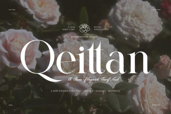 Qeittan: A Designer’s Honest Review for Real Projects