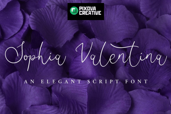 Sophia Valentina: The Script Typeface That Elevates Campaign Visuals